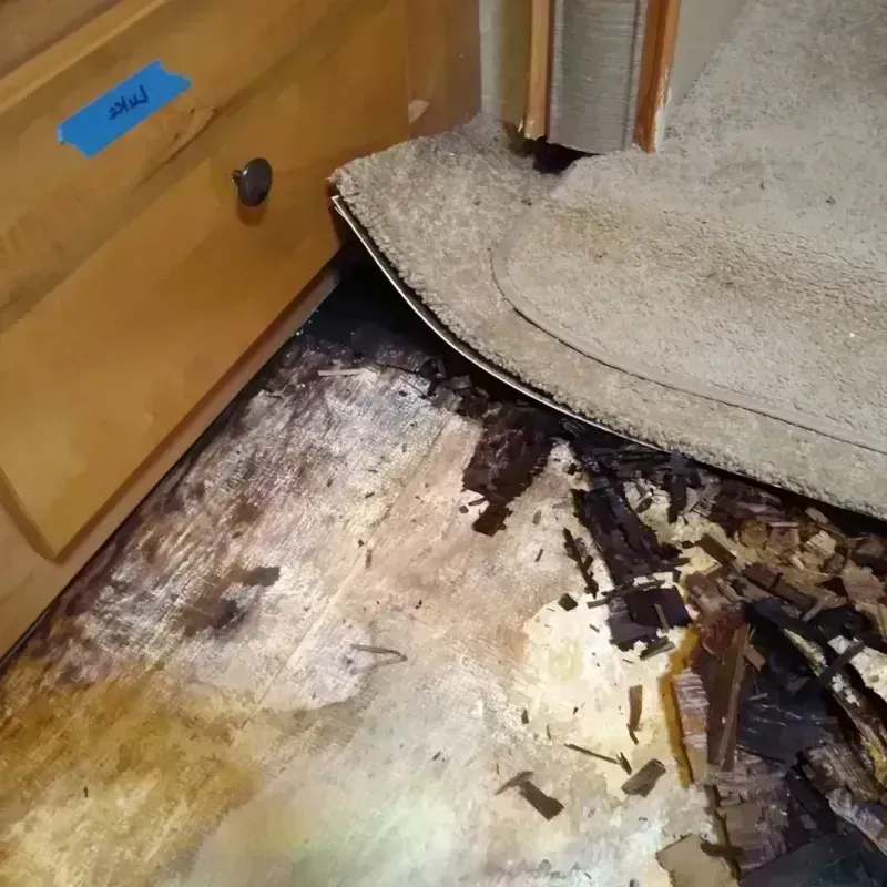 Wood Floor Water Damage in Princess Anne, MD